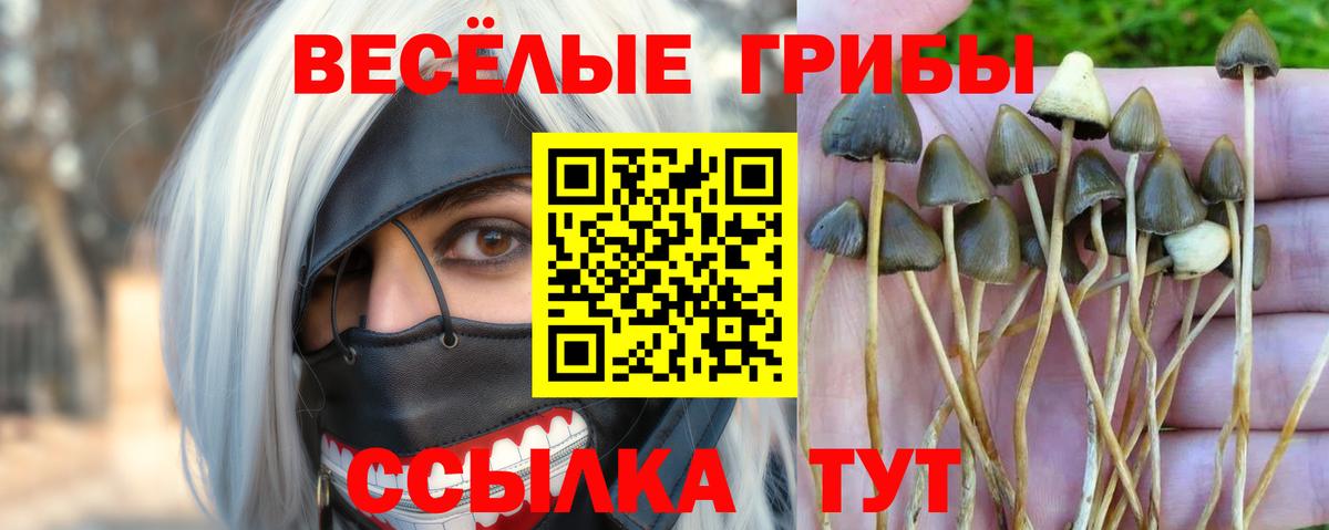Ирбит  дарнет шоп  Вход с VPN  Галлюциногенные грибы Magic Shrooms 