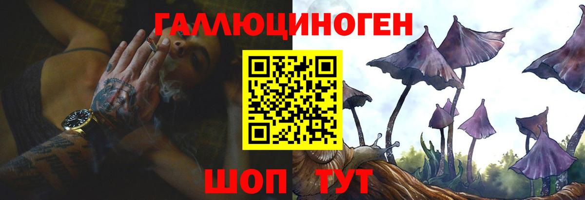 Псилоцибиновые грибы Psilocybine cubensis Ирбит